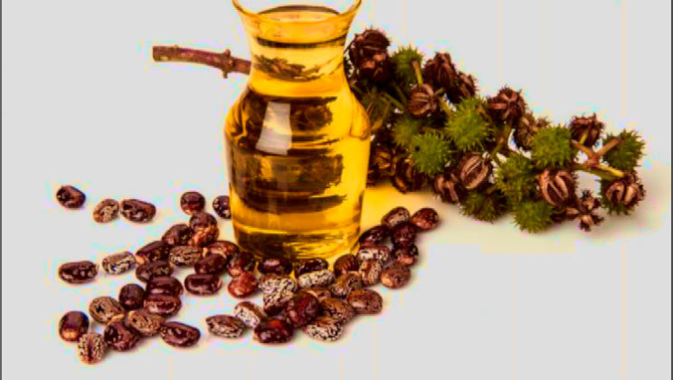 Касторовое масло: широкое применение продукта, который ценили наши предки