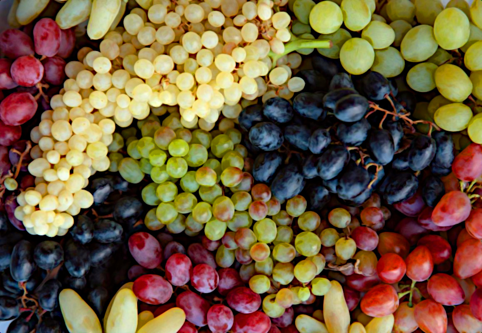 Разные виды полезного винограда